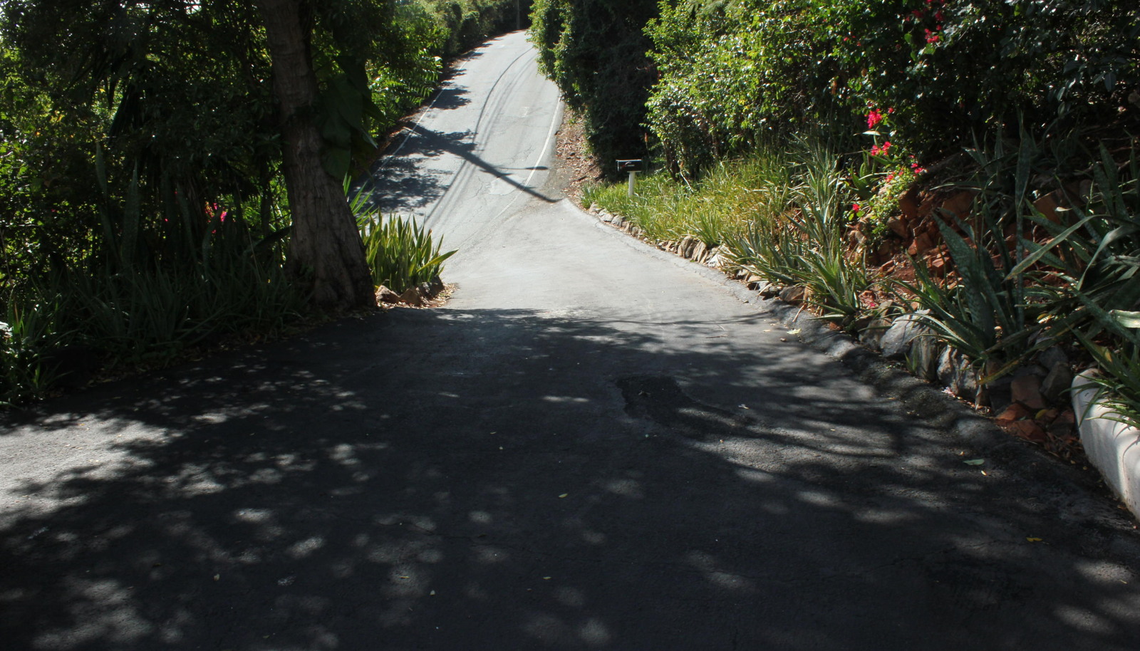 Image 76