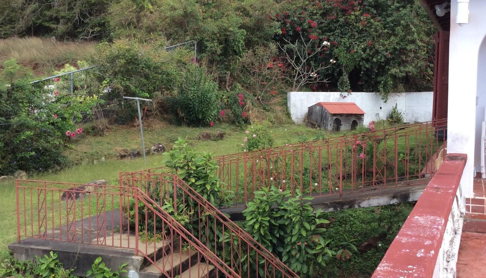 Image 14