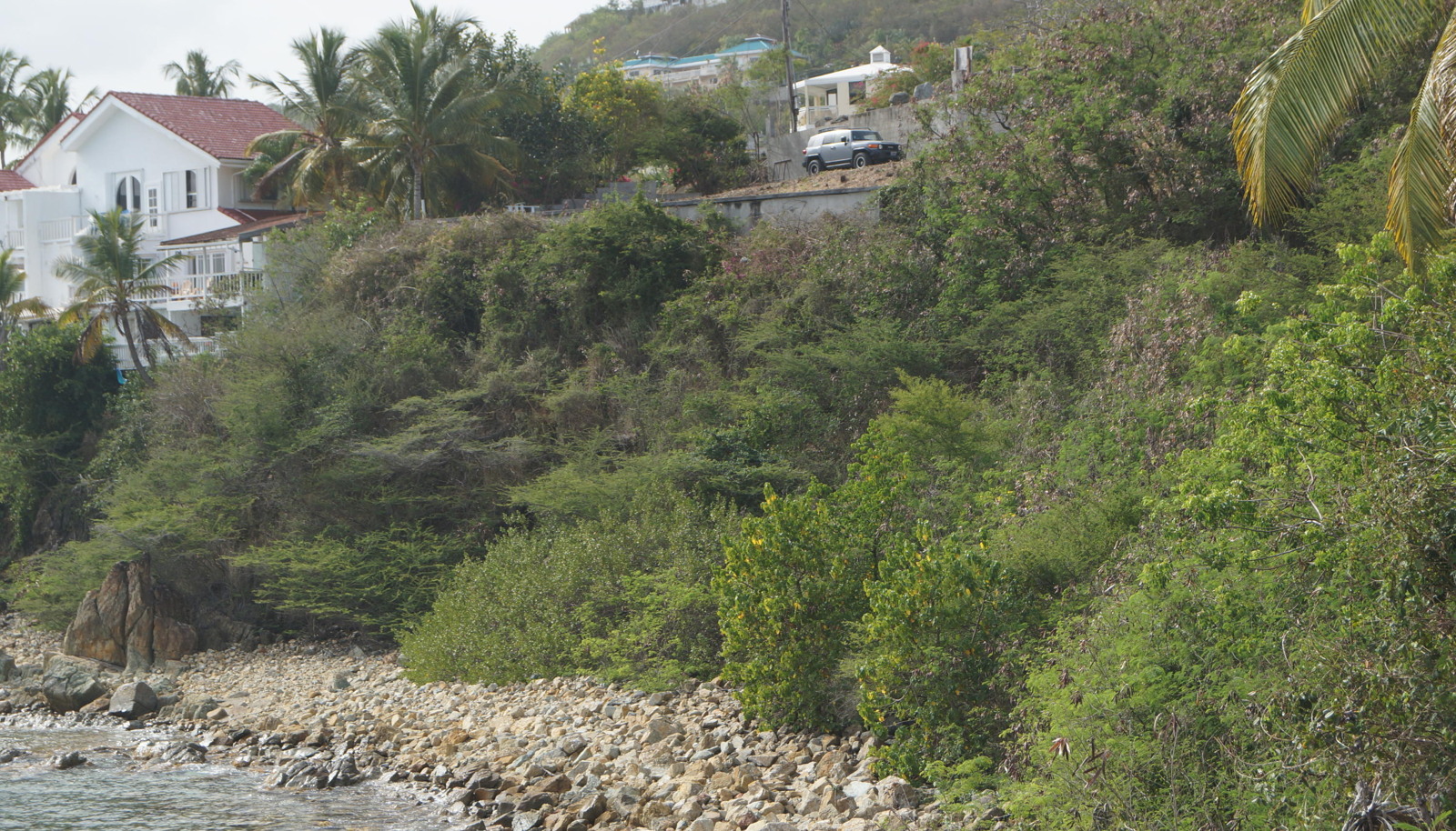 Image 13