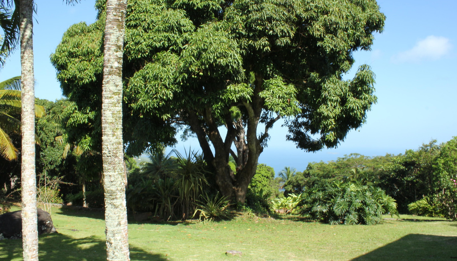 Image 77