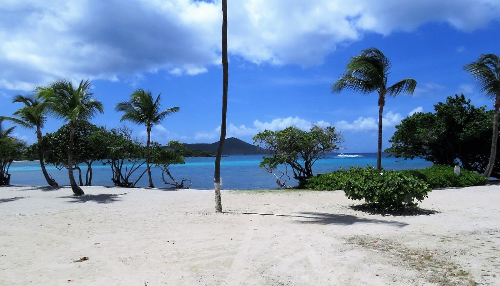 Image 15
