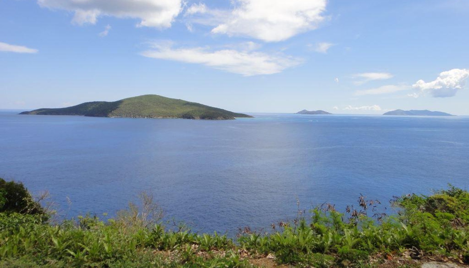 Image 6