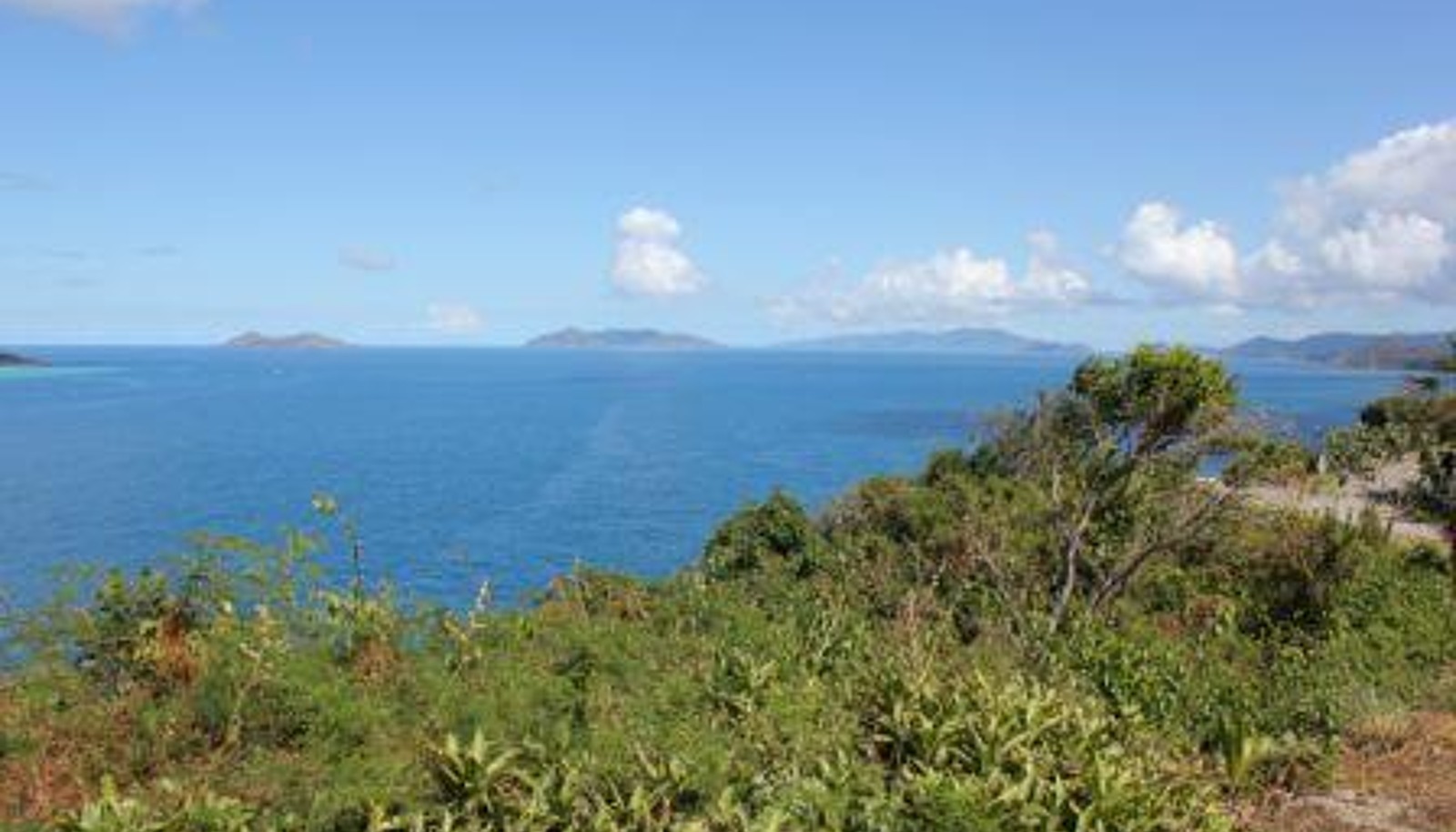 Image 13