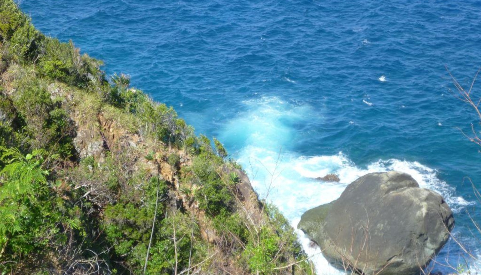 Image 14