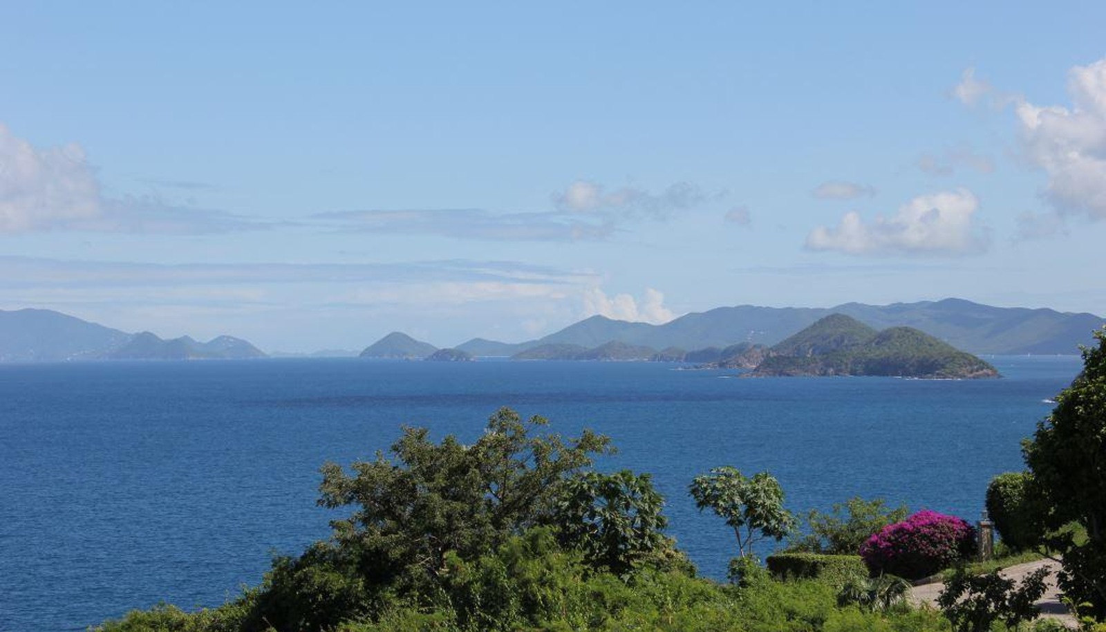 Image 15