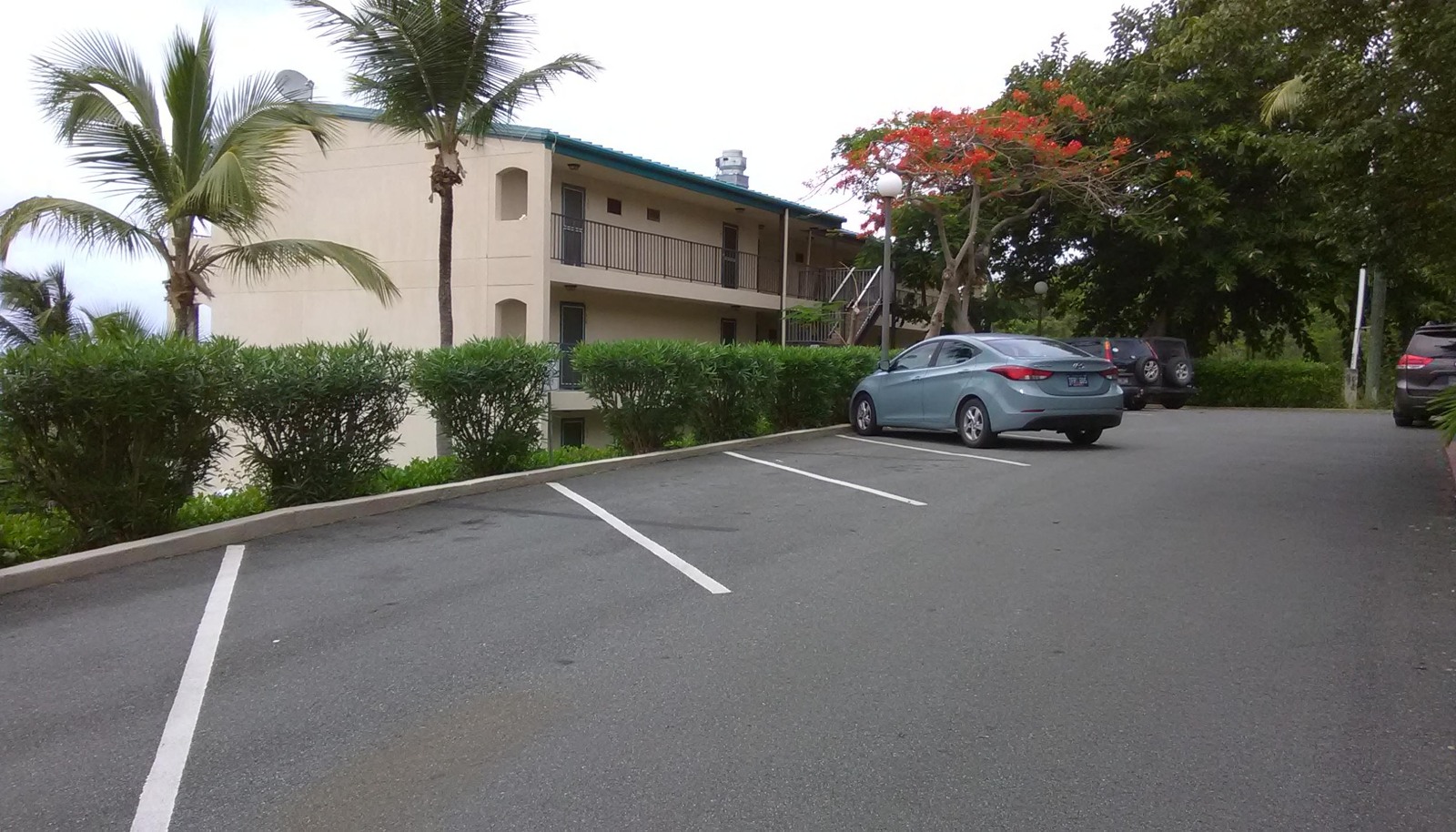 Image 13
