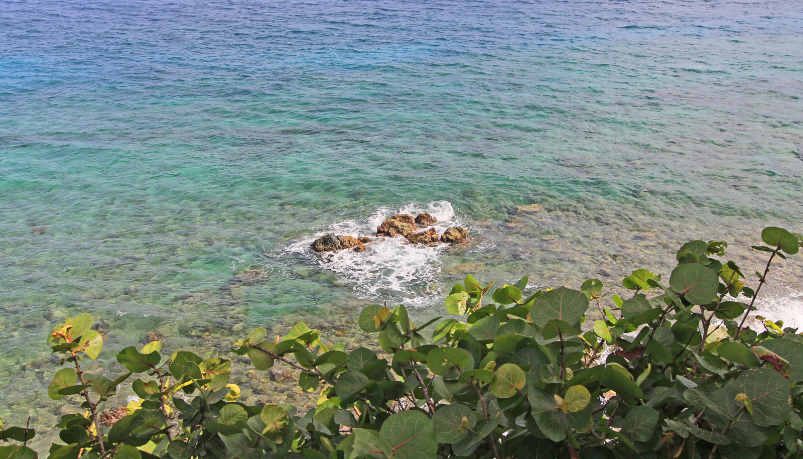 Image 53