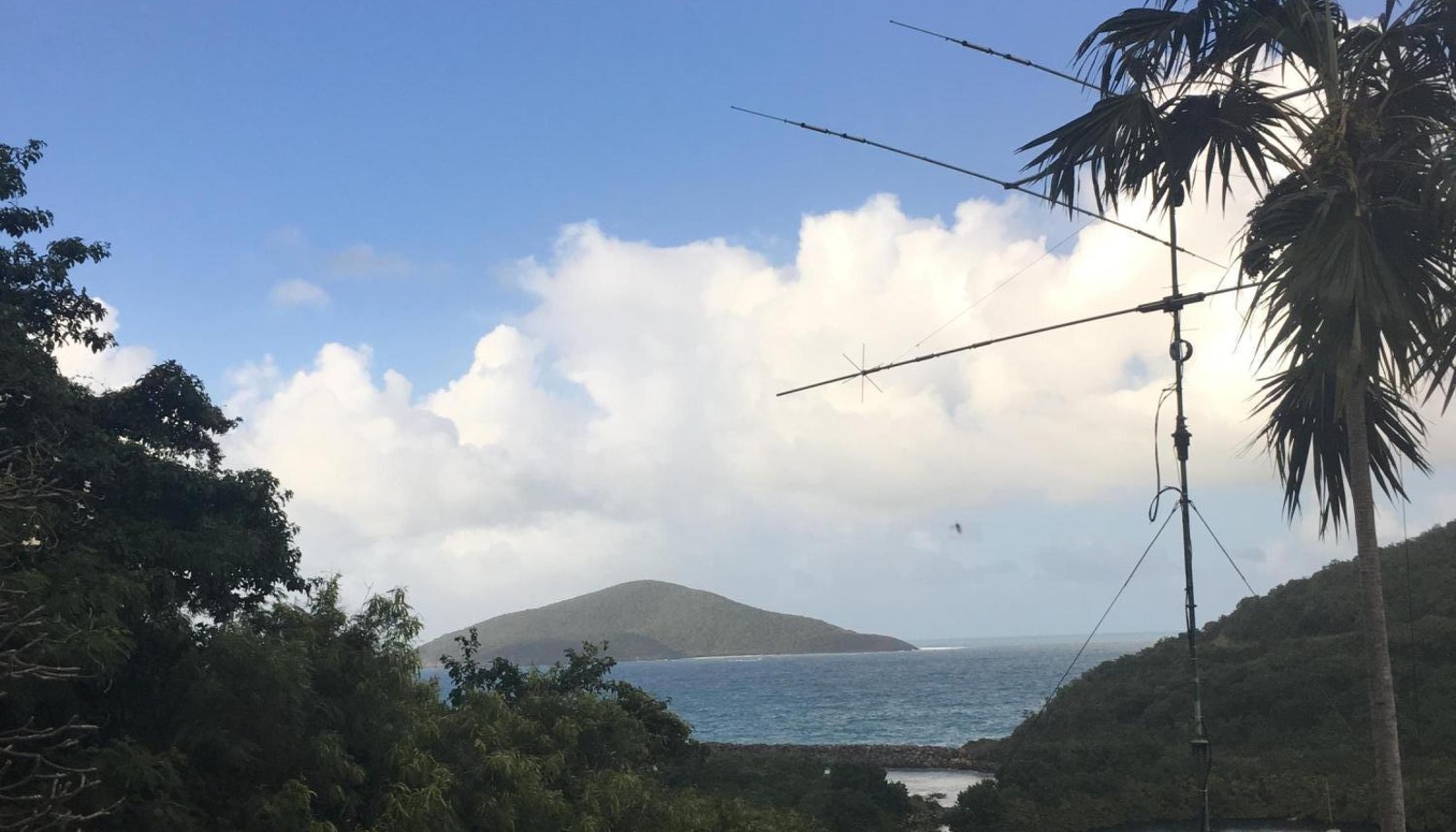 Image 6