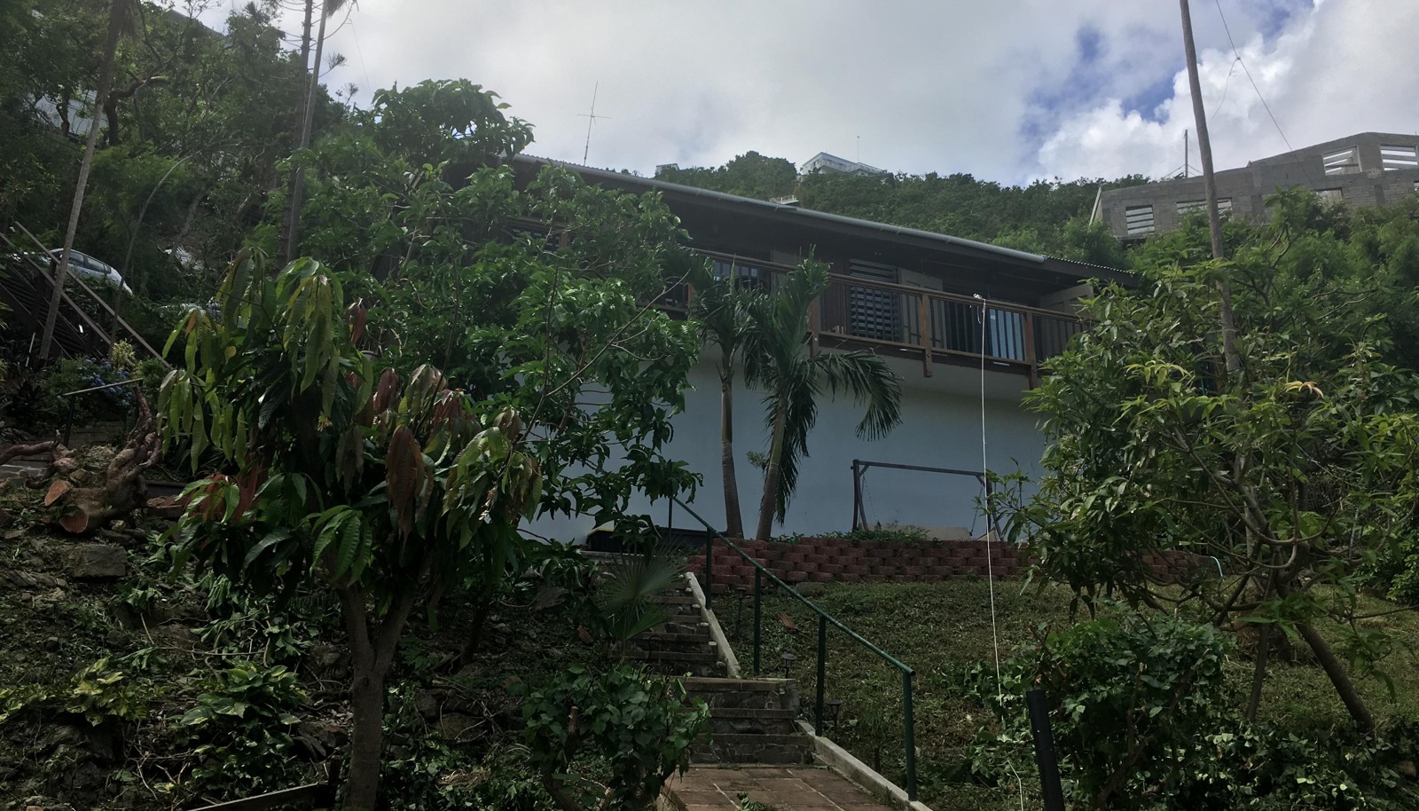 Image 19