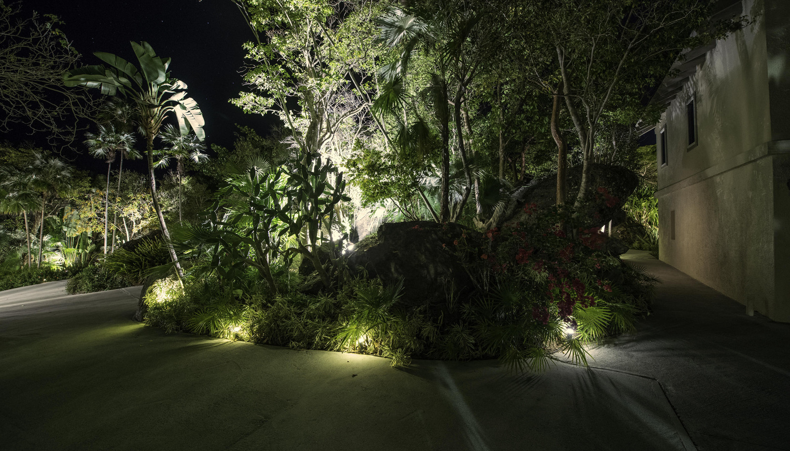 Image 66