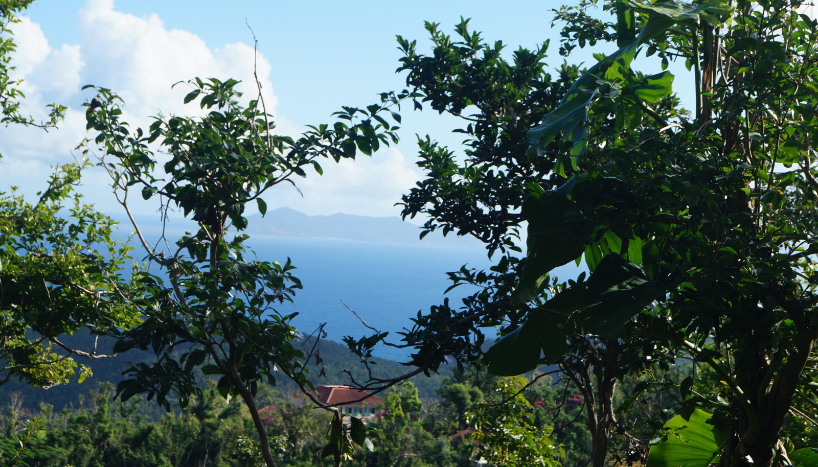 Image 11