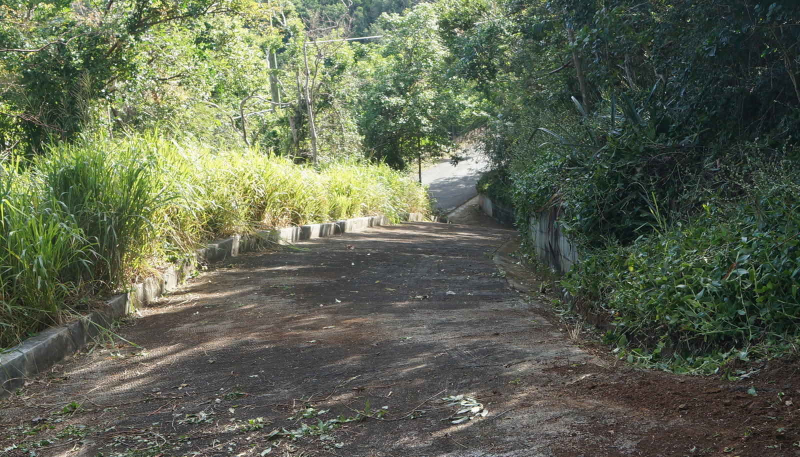 Image 16