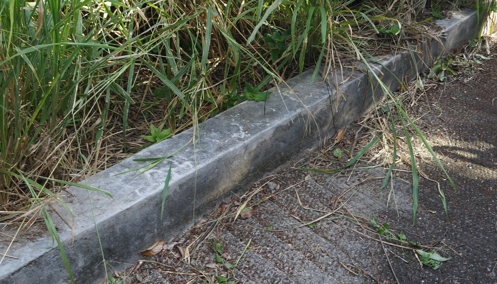 Image 19