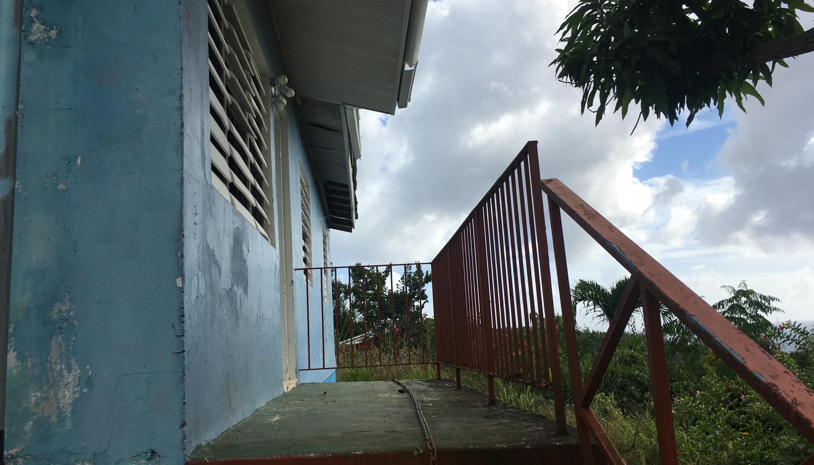 Image 7