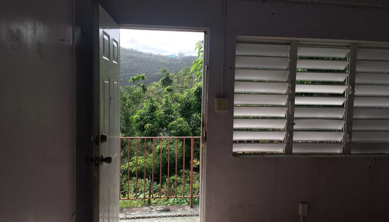 Image 15