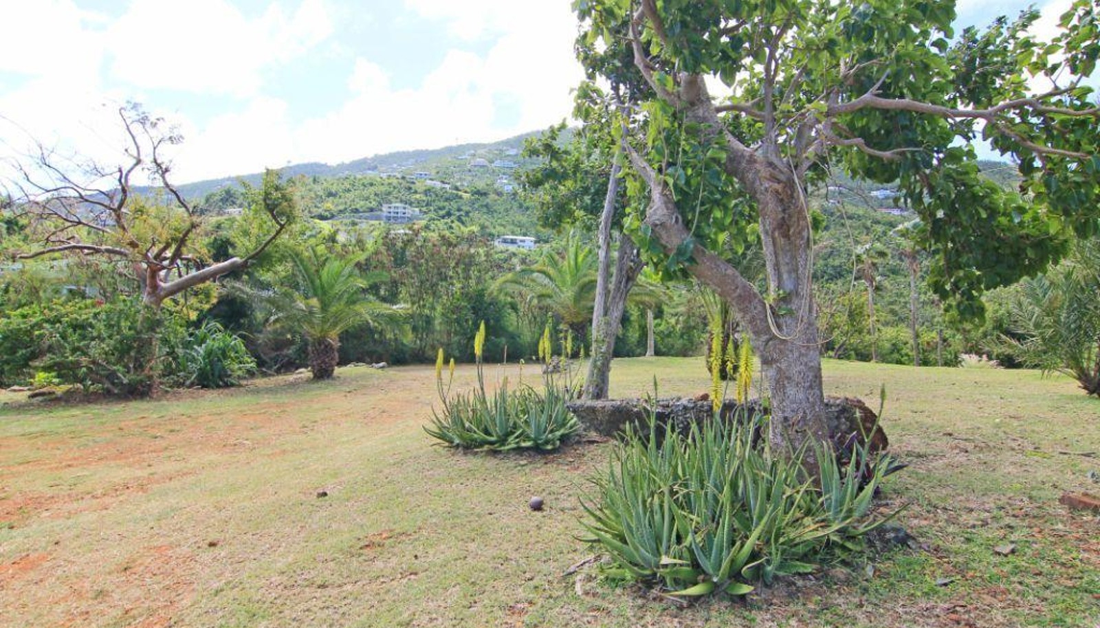 Image 12