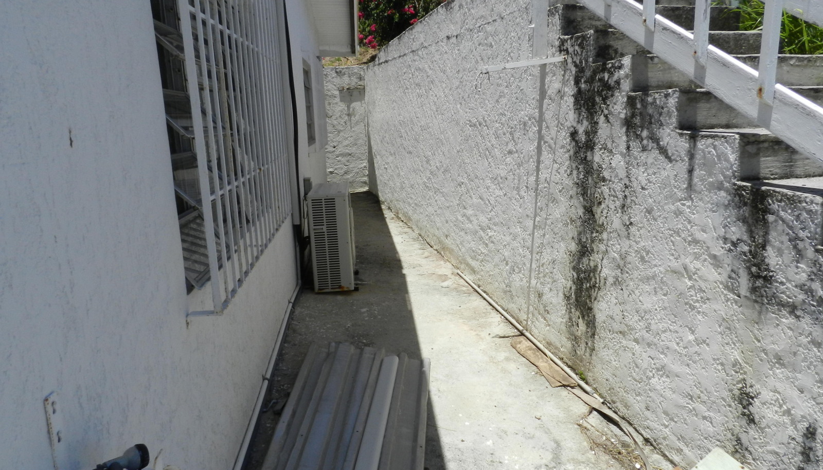 Image 12