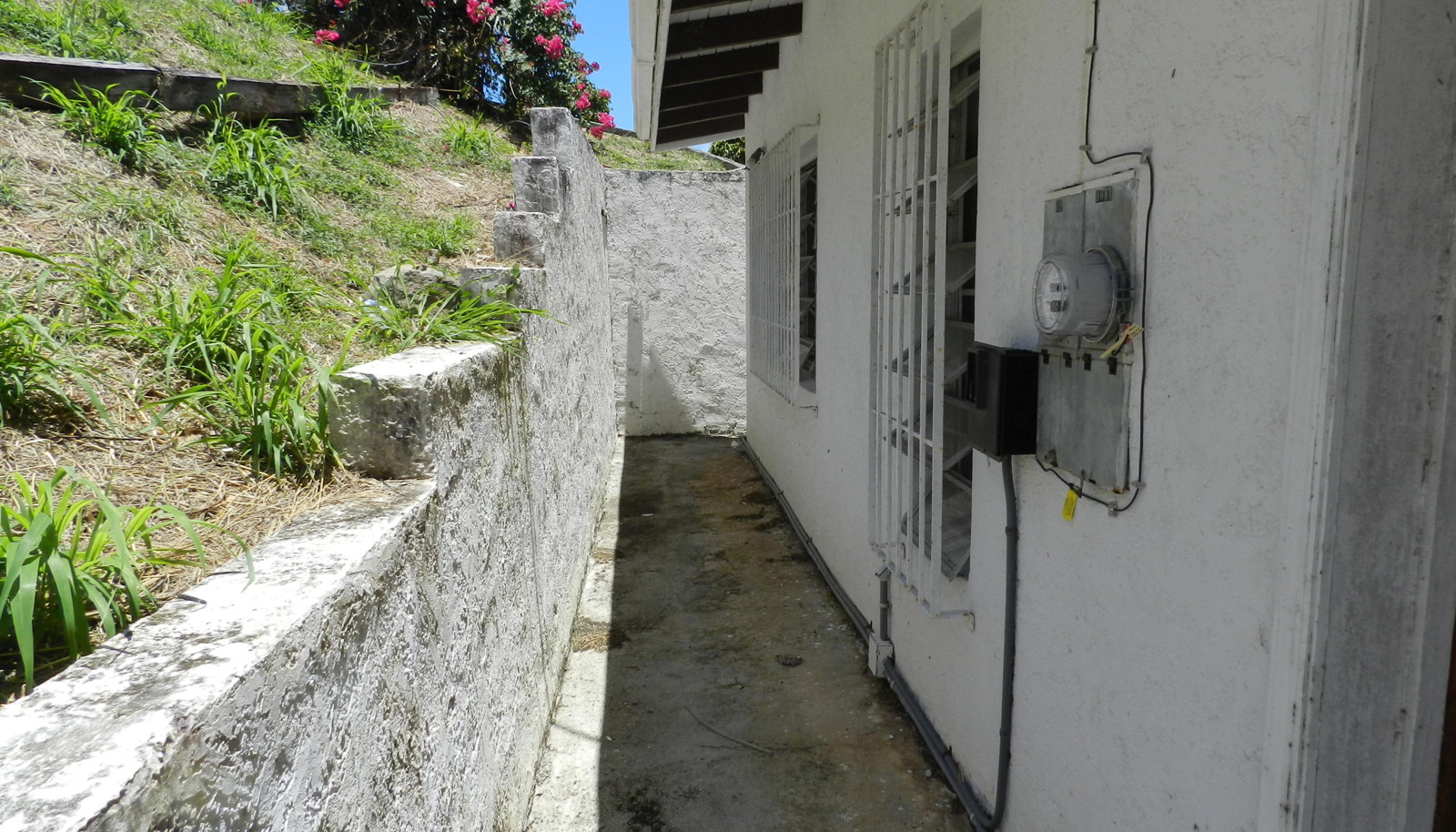 Image 15