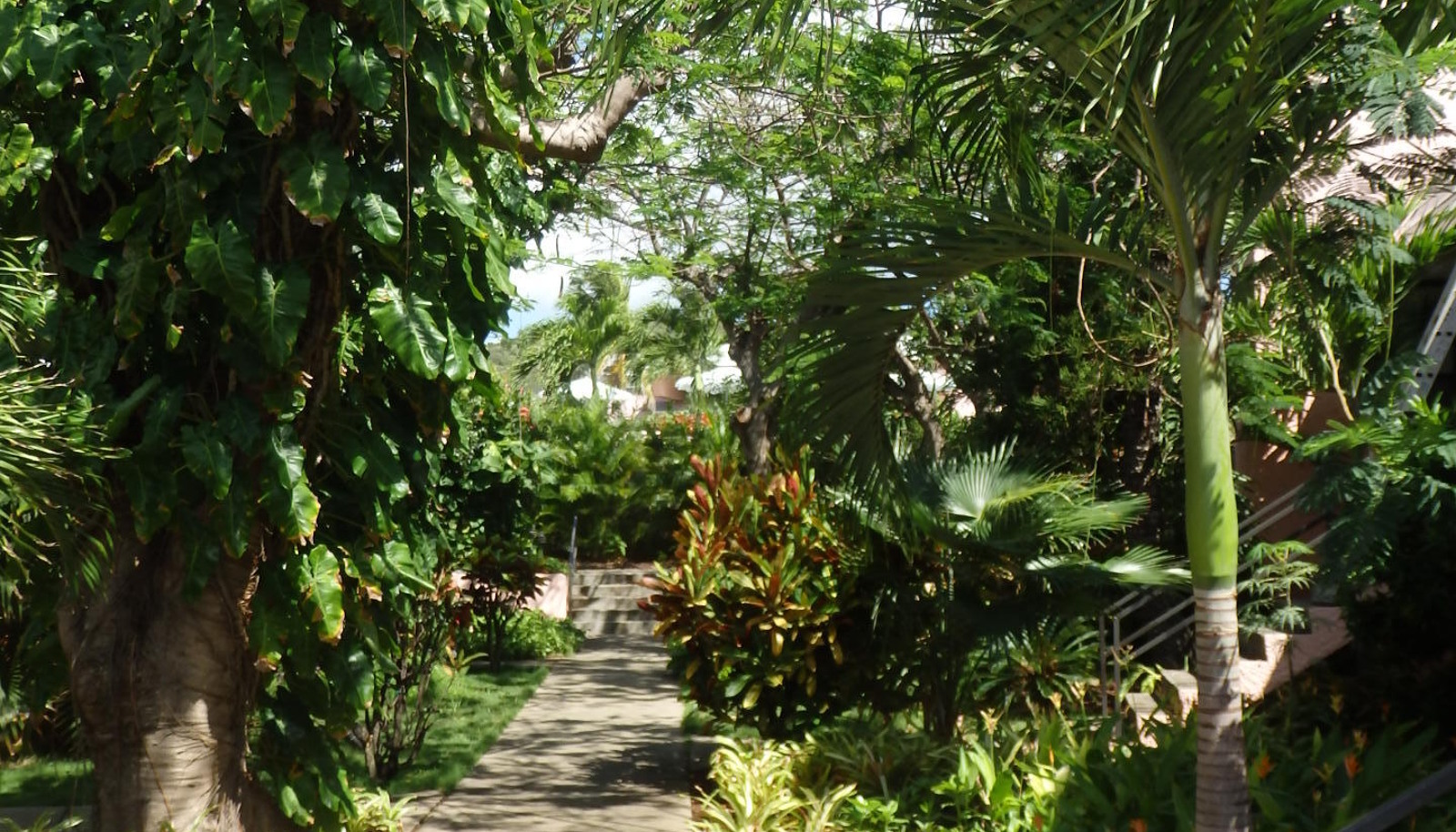 Image 14