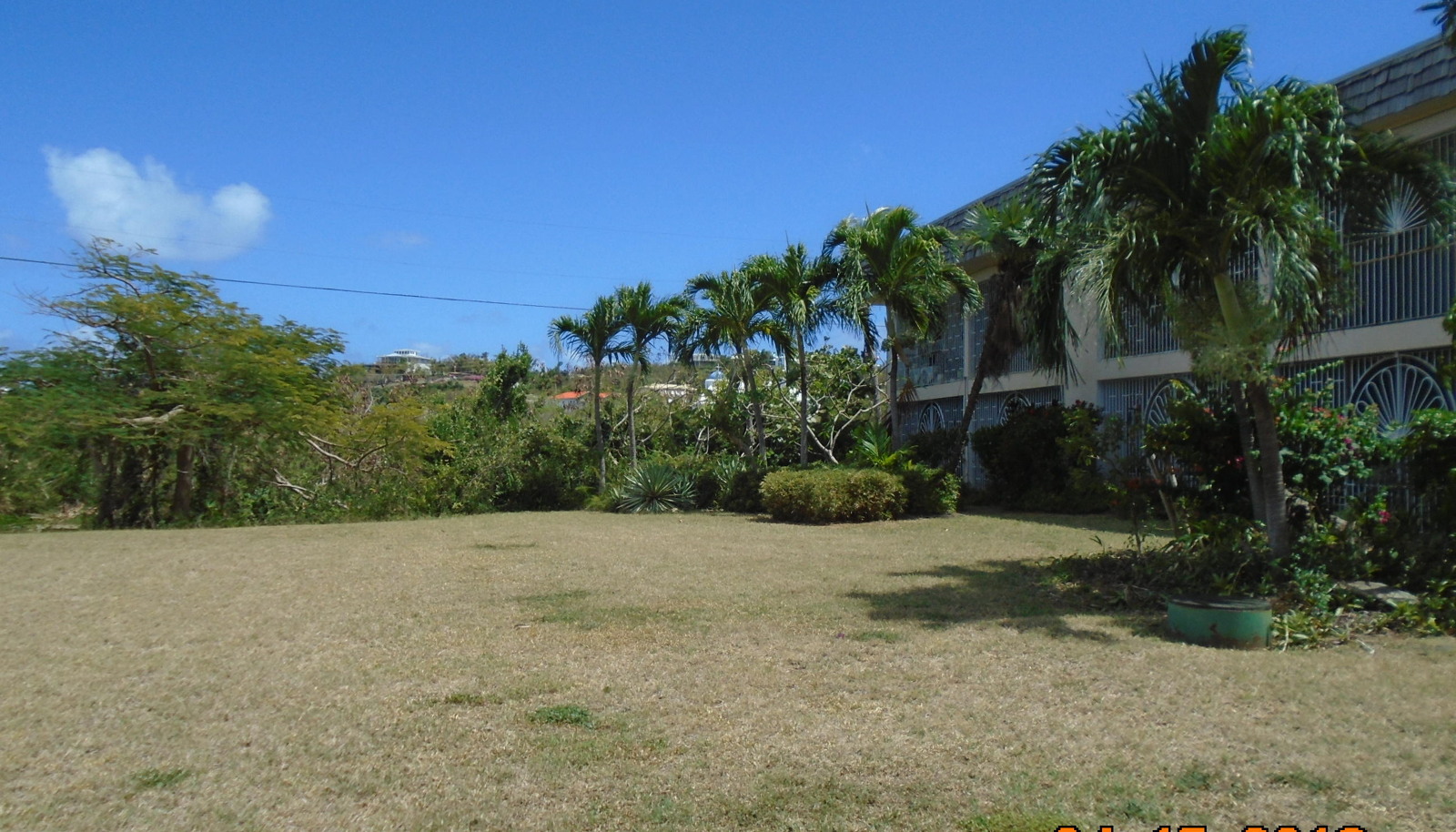 Image 7