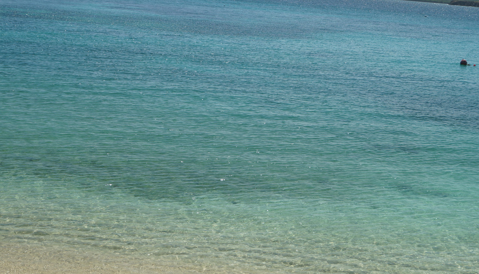 Image 32