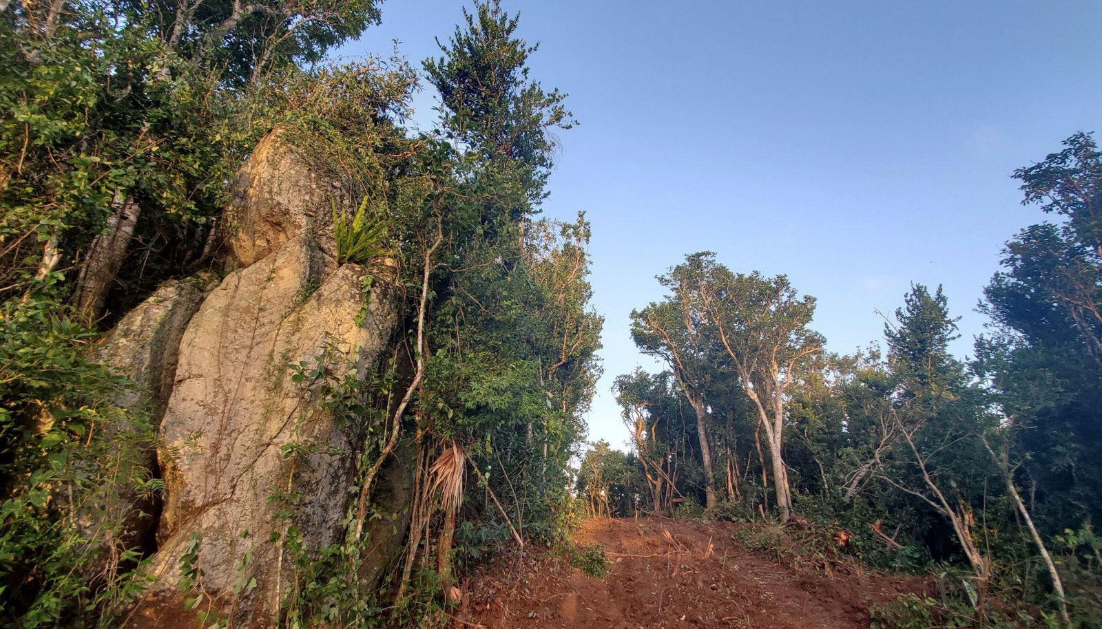Image 12