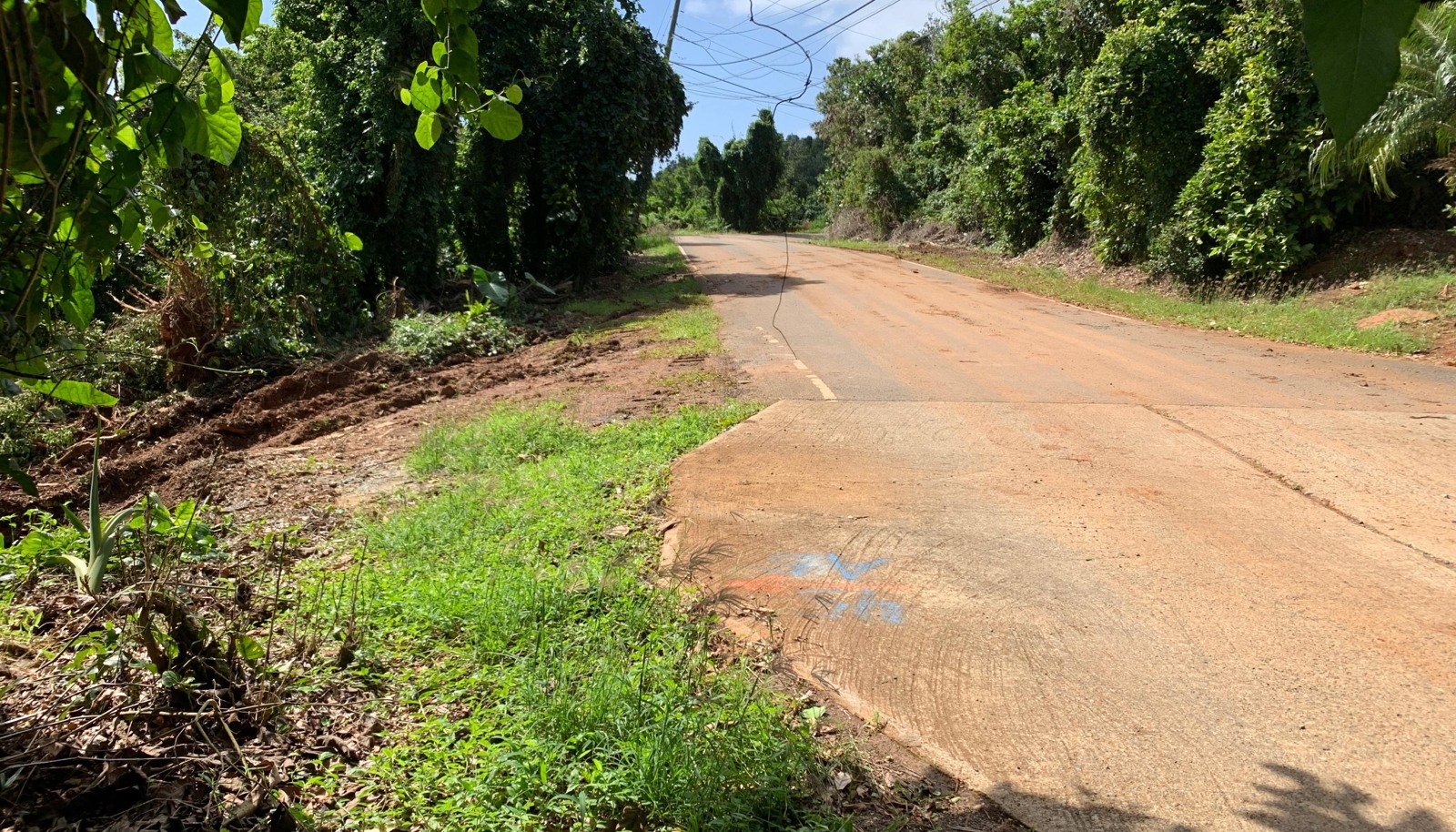 Image 15