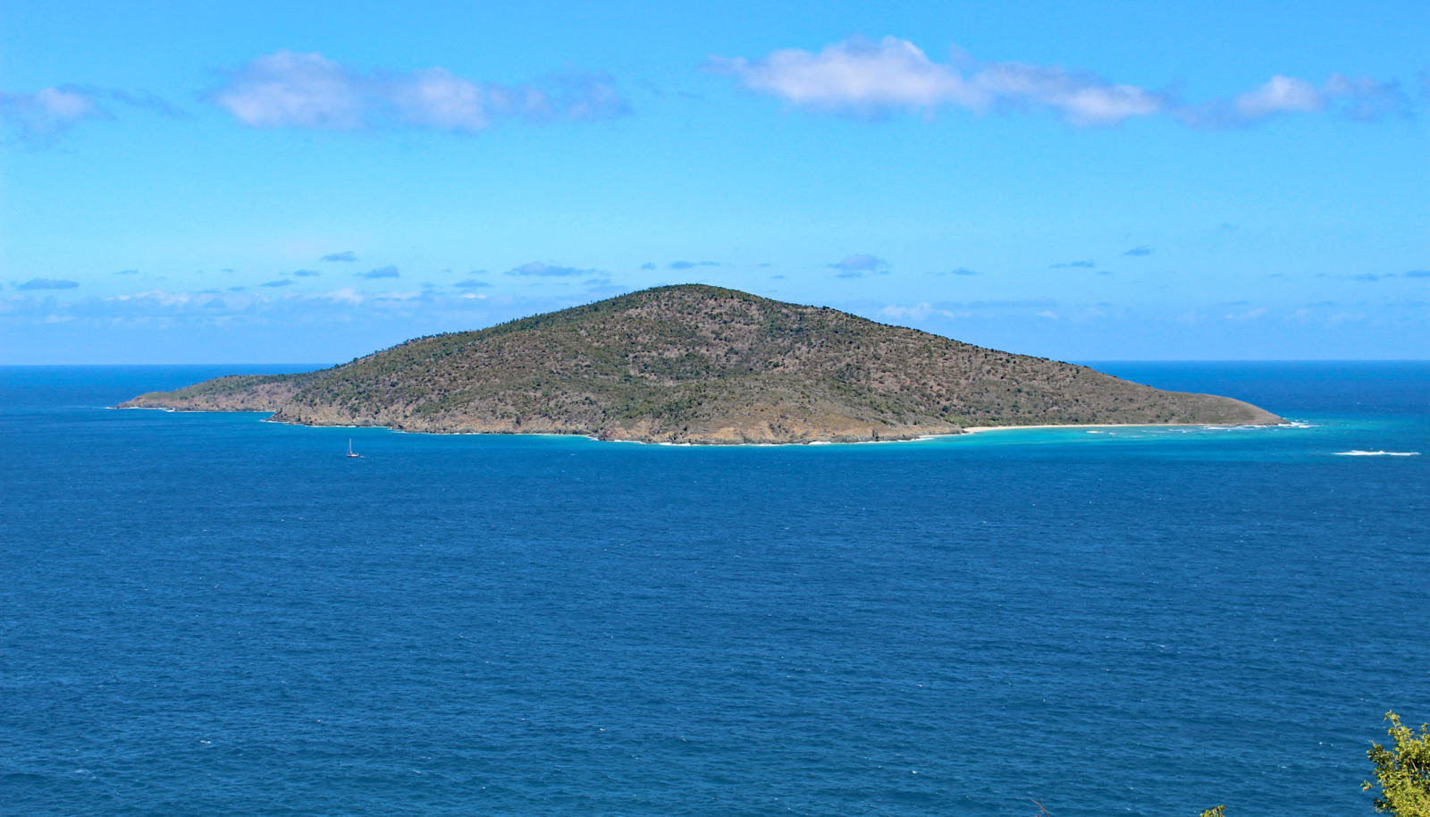 Image 31