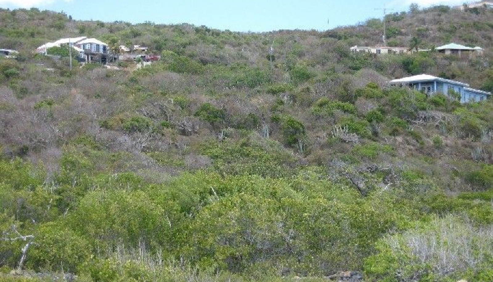 Image 8