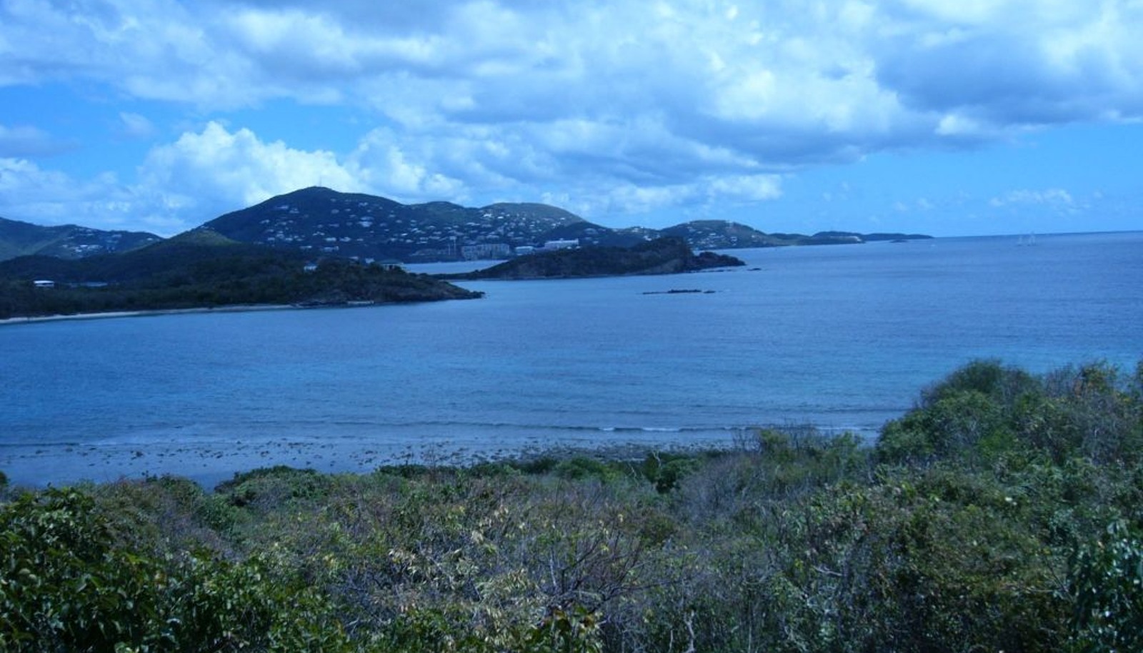 Image 11