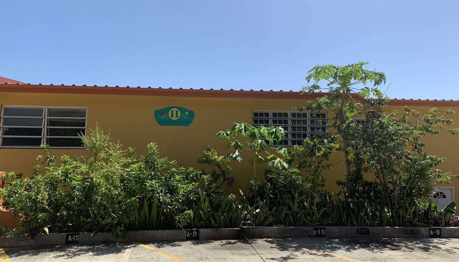 Image 8