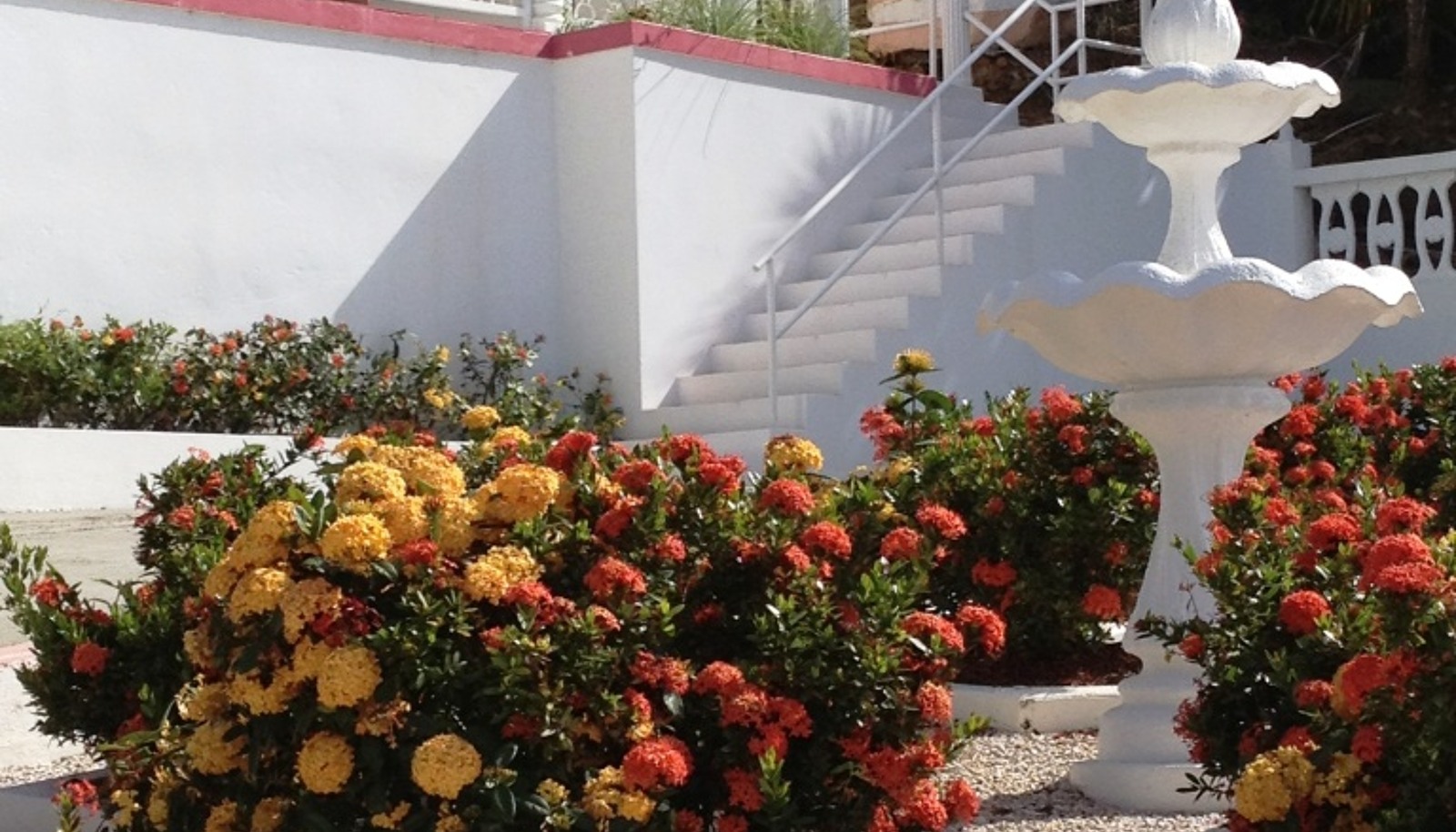 Image 14