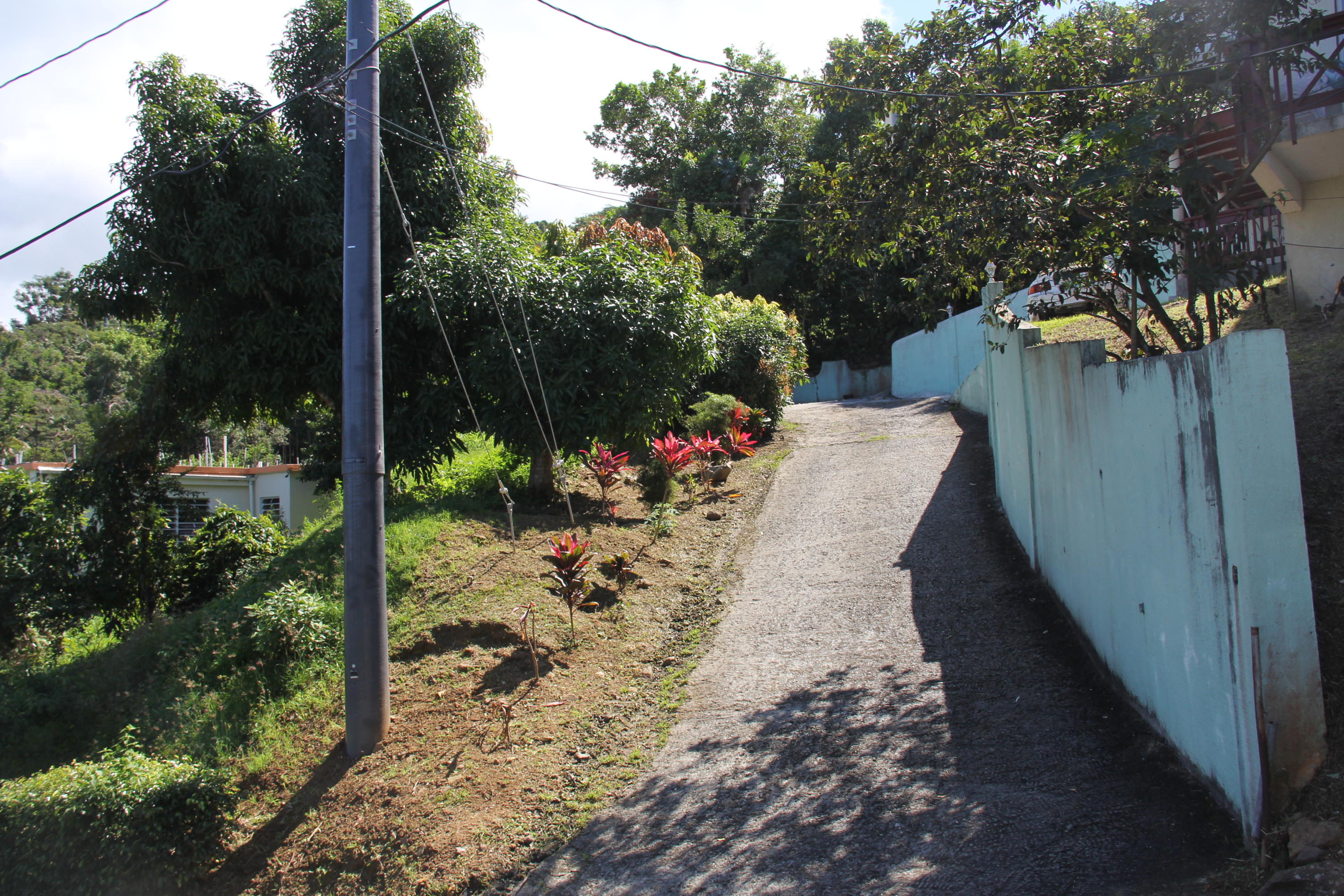 Image 14