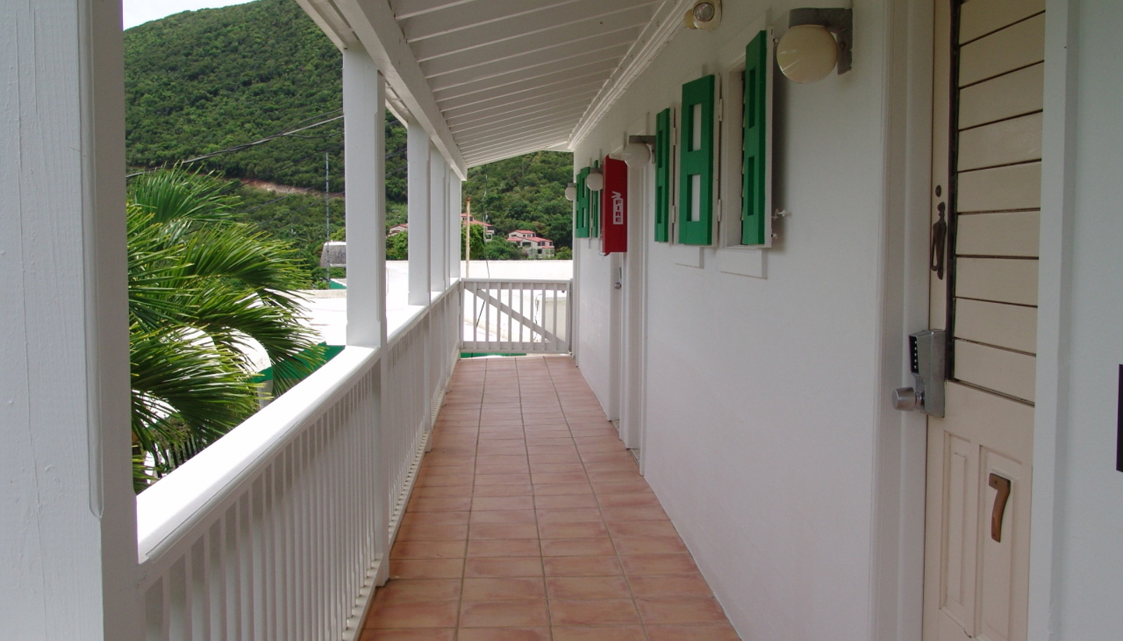 Image 7