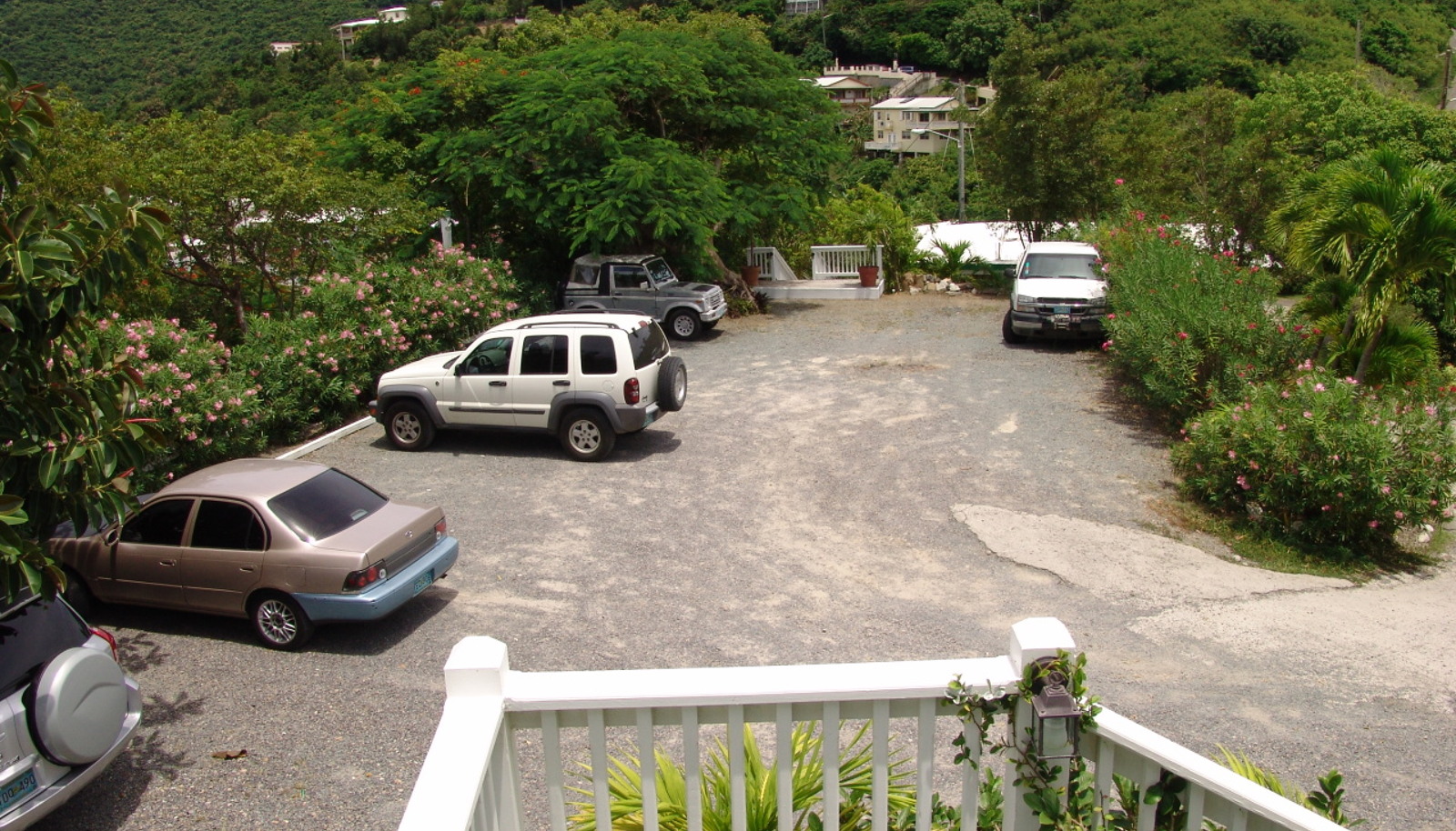 Image 19