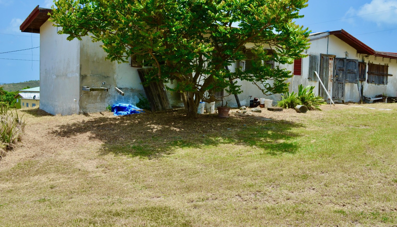 Image 19