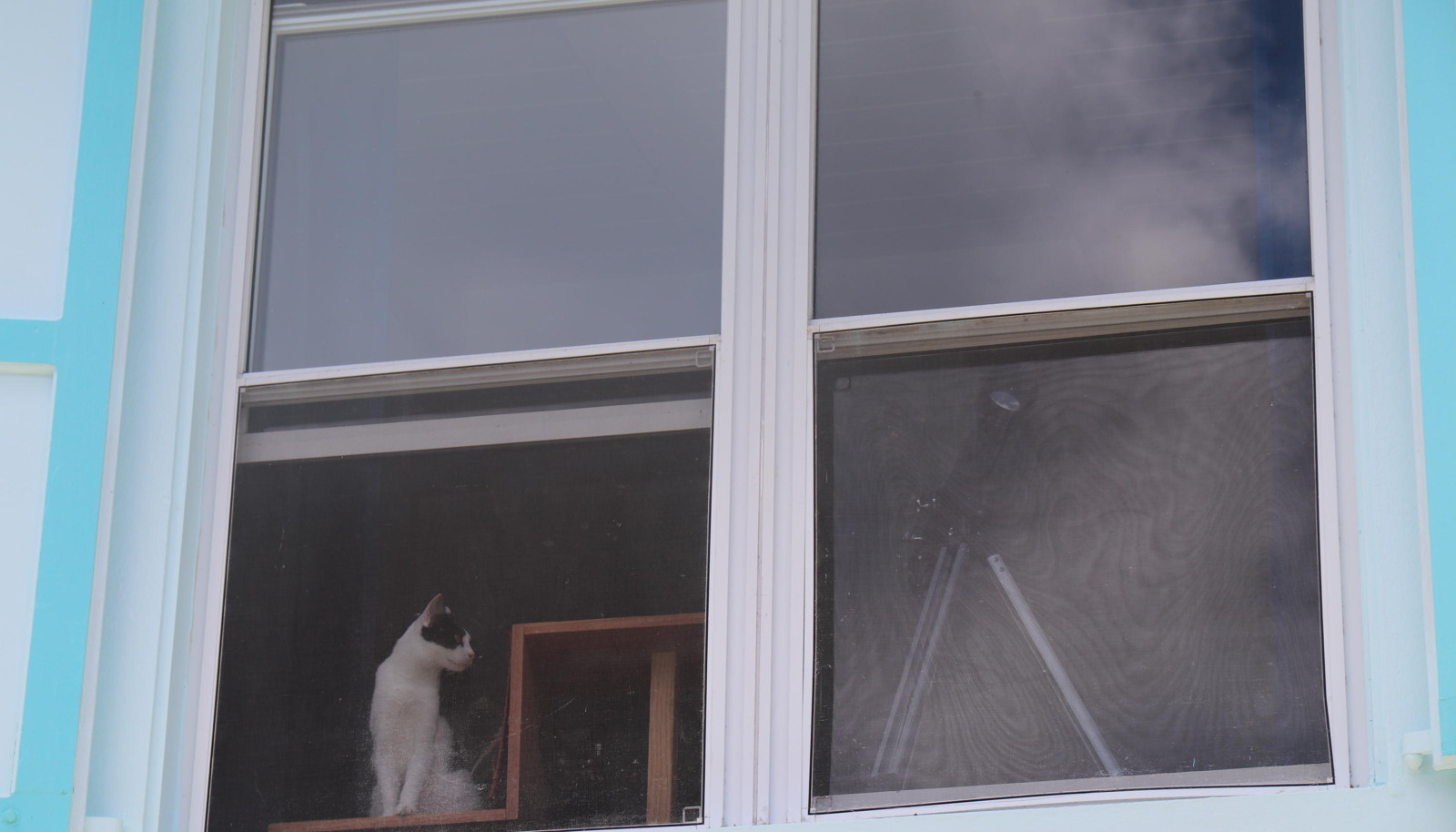 Image 54