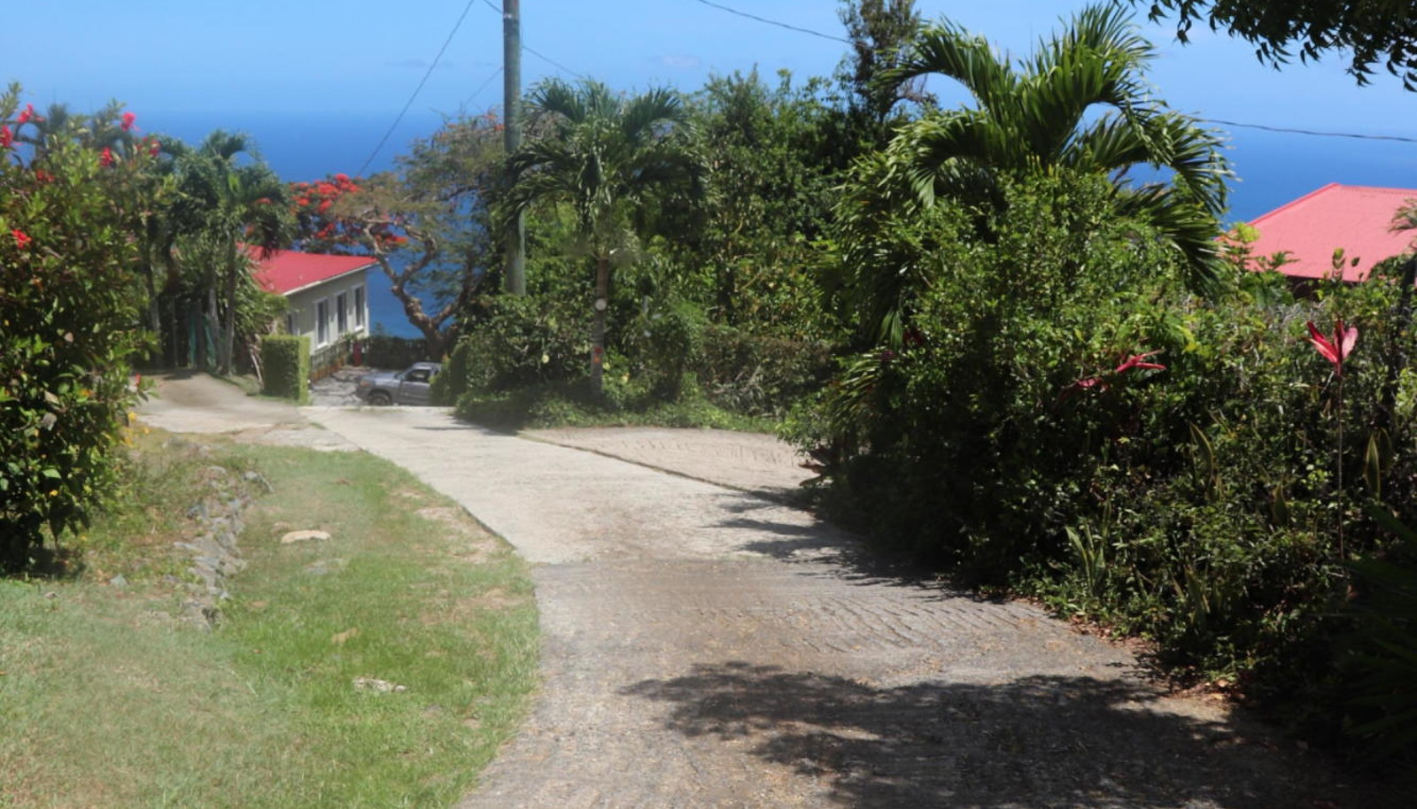 Image 61