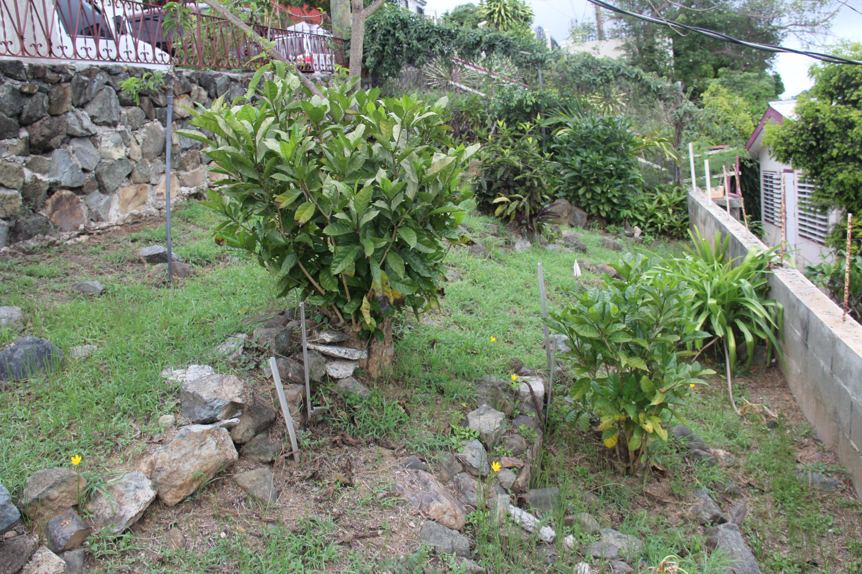 Image 38