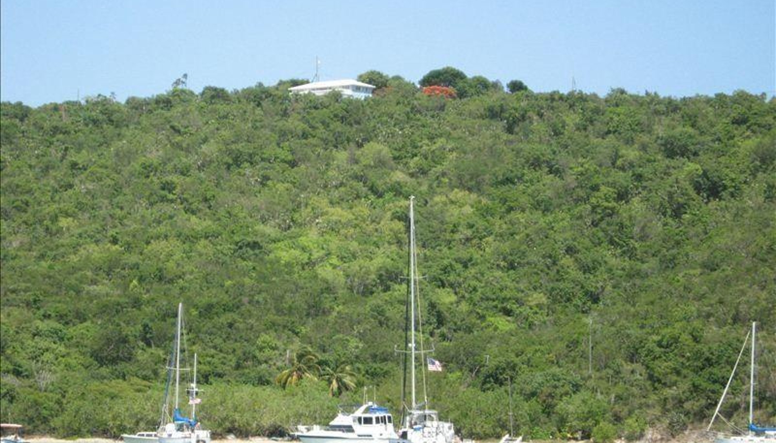 Image 4