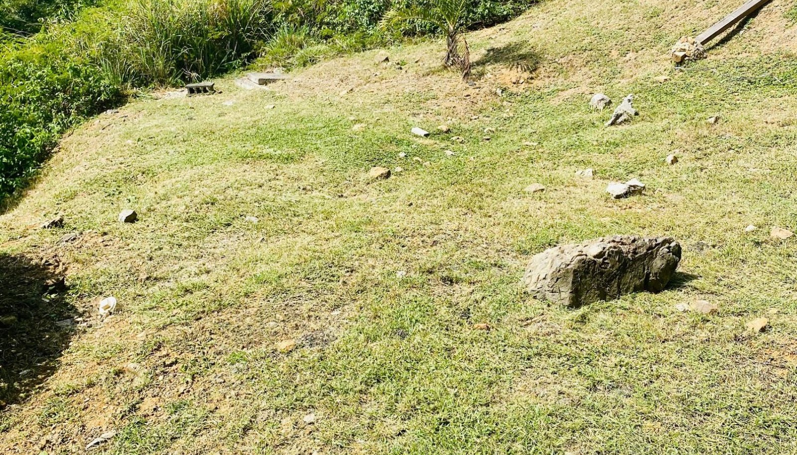 Image 16