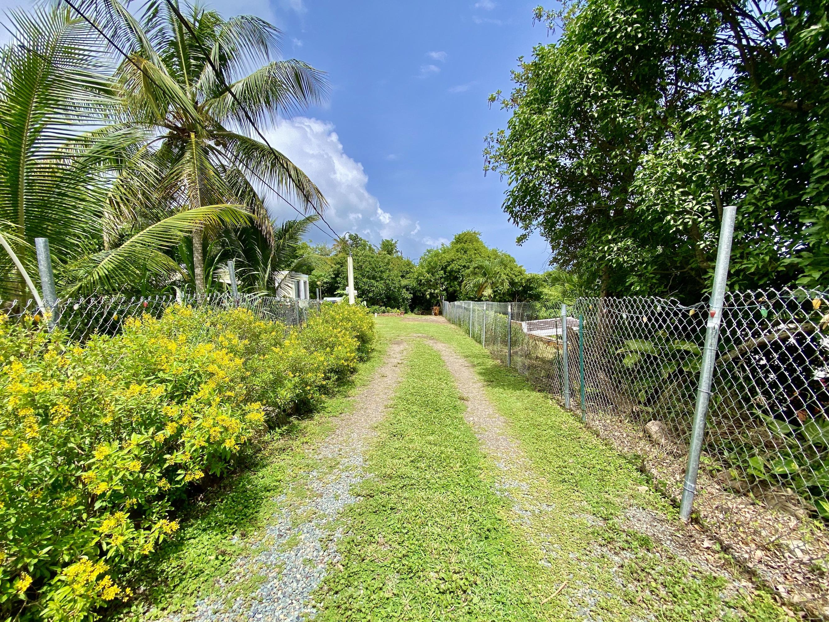 Image 21