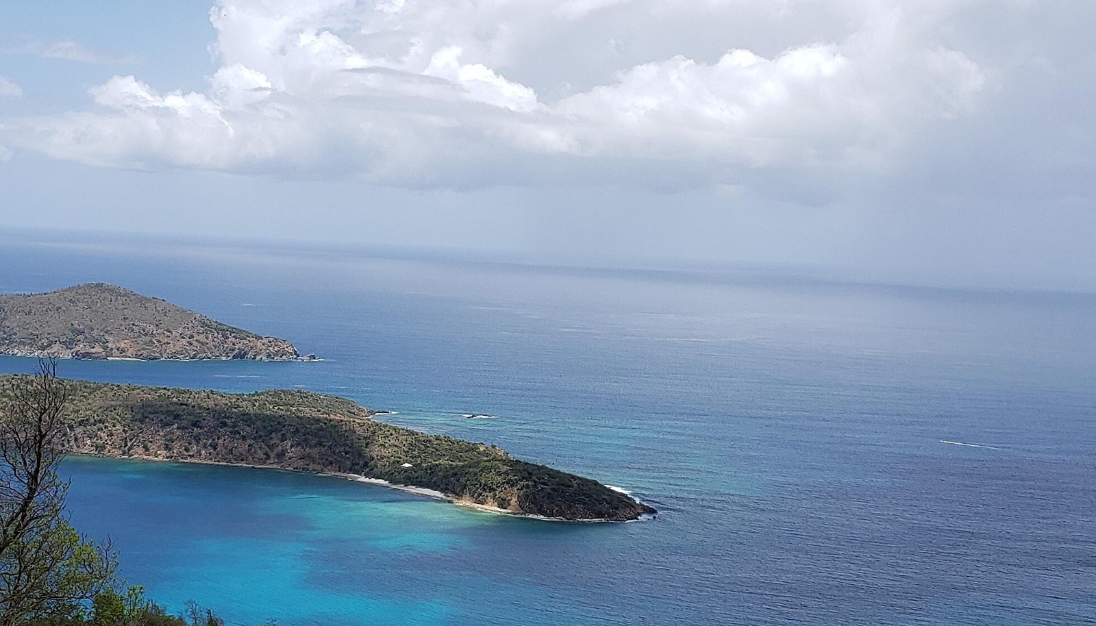 Image 6