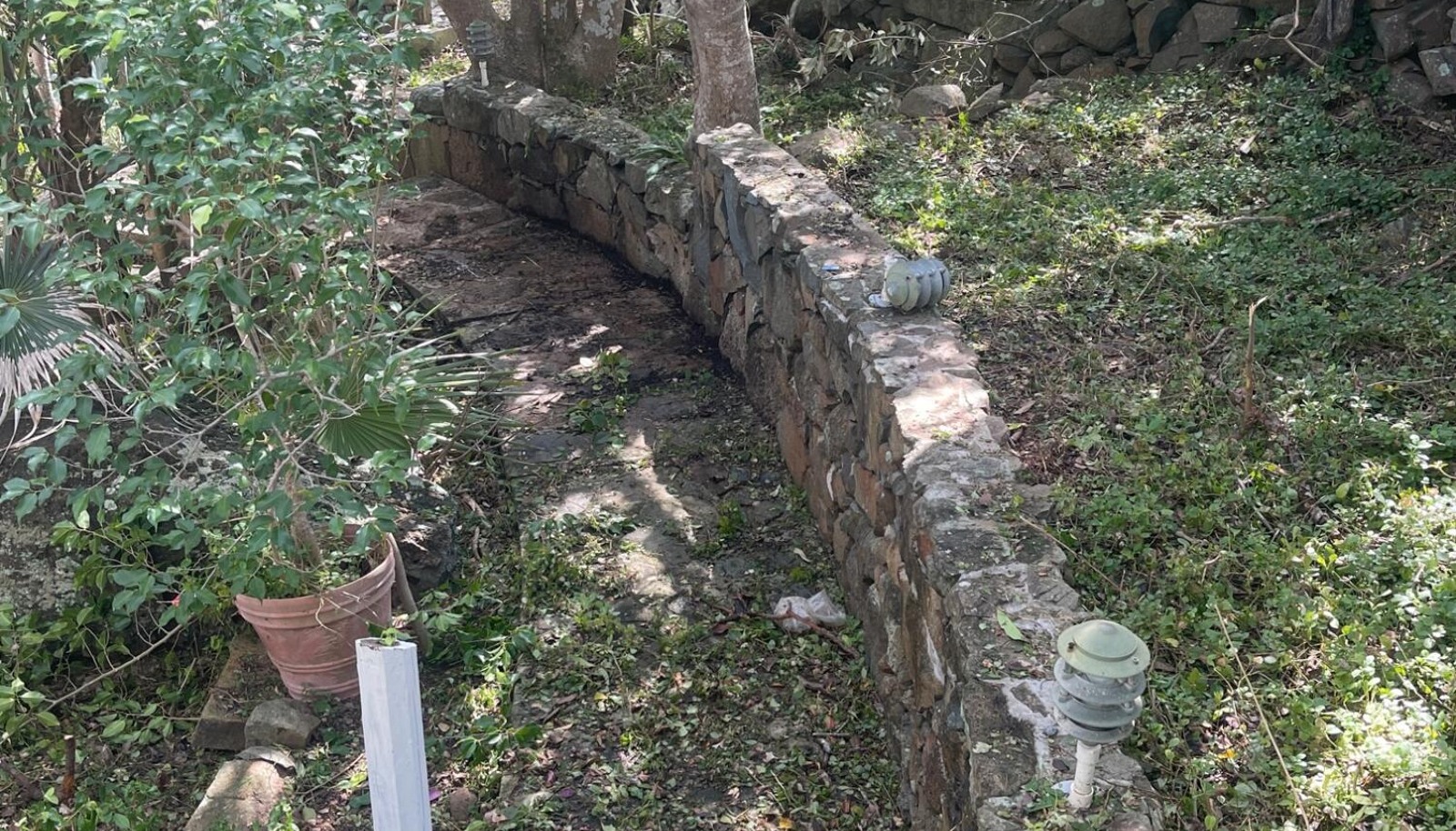 Image 17