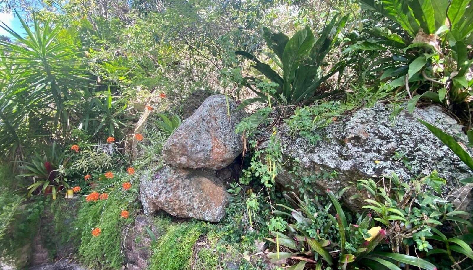Image 26