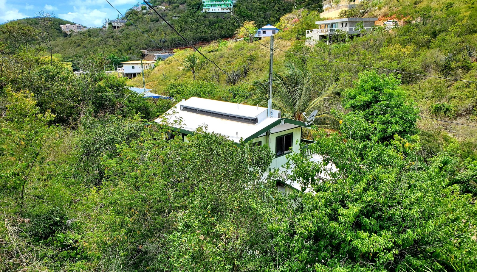 Image 6