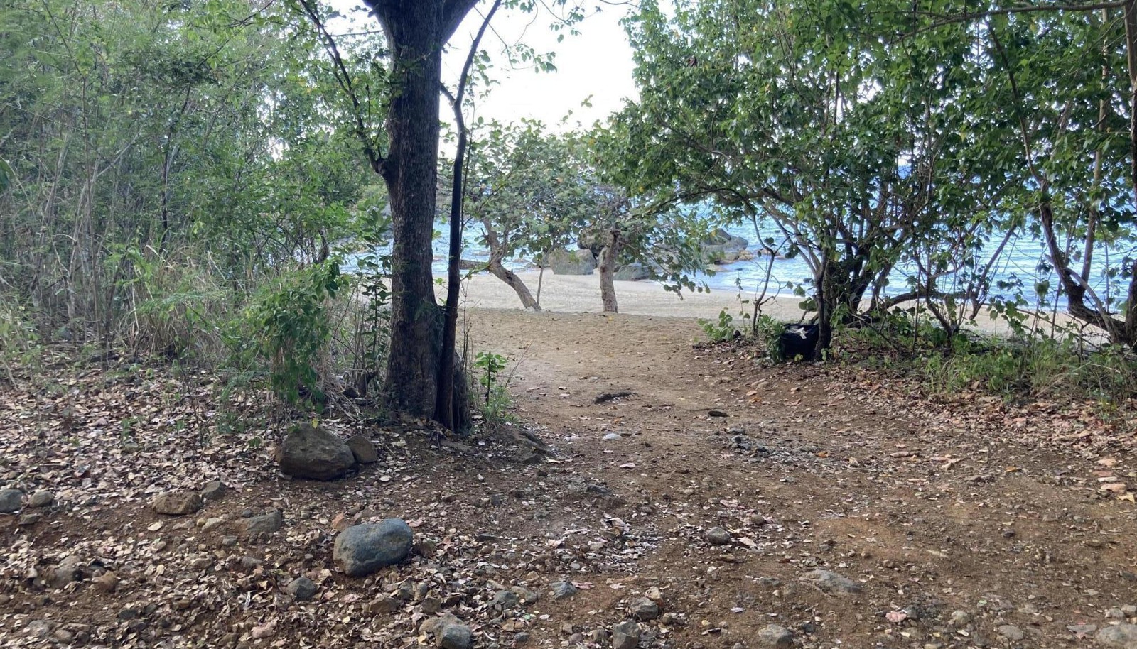 Image 6