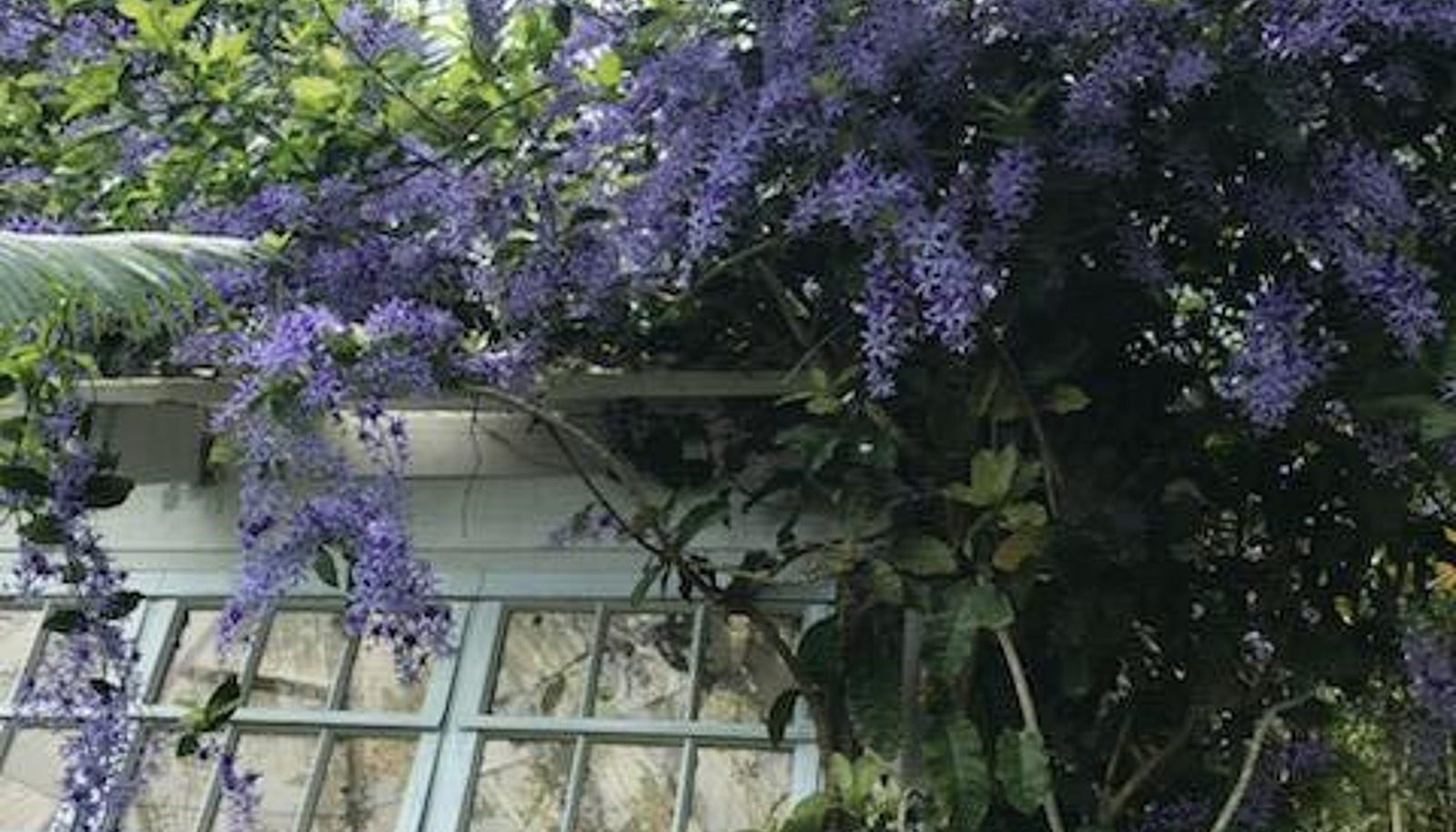 Image 27