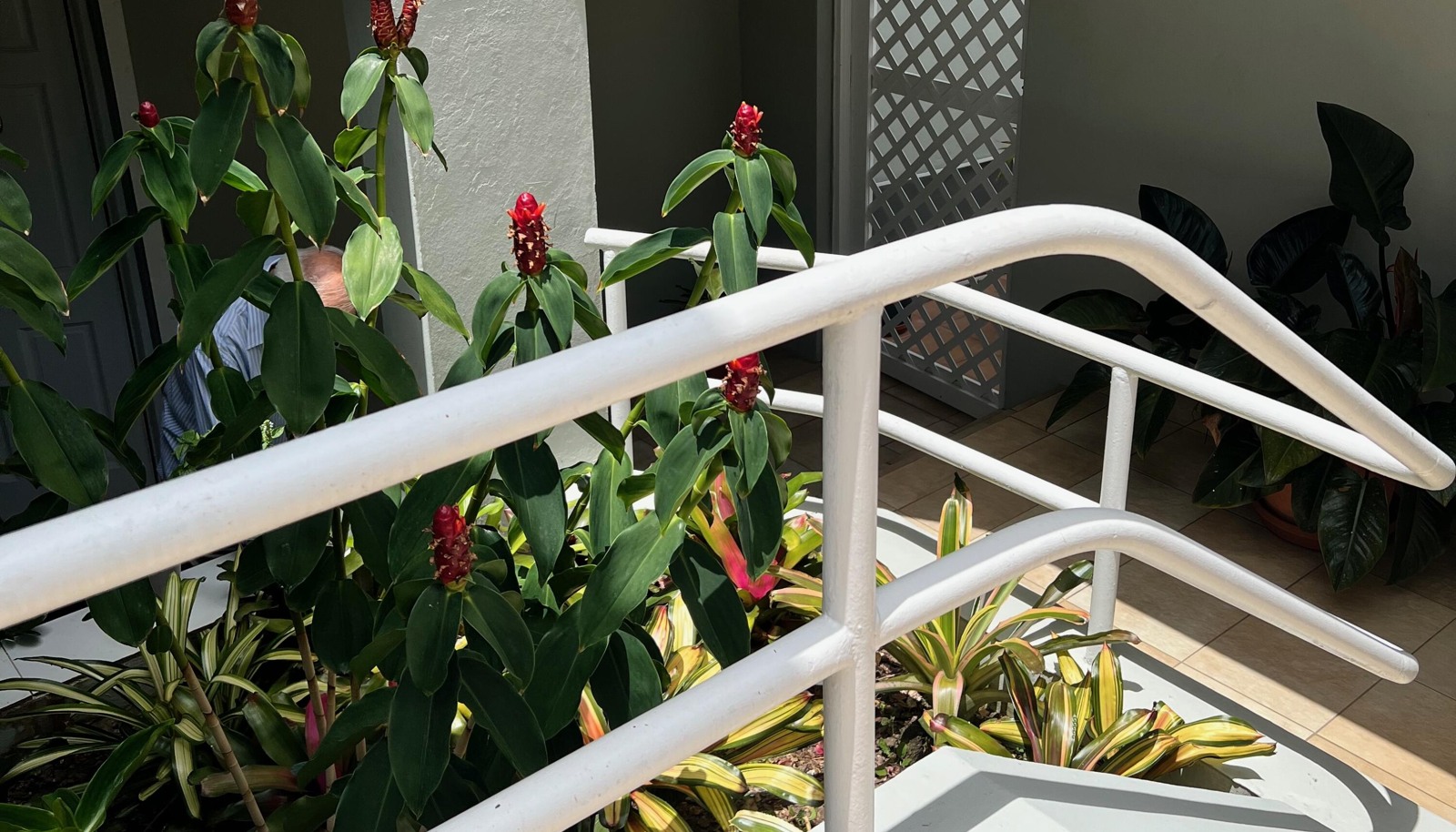 Image 12
