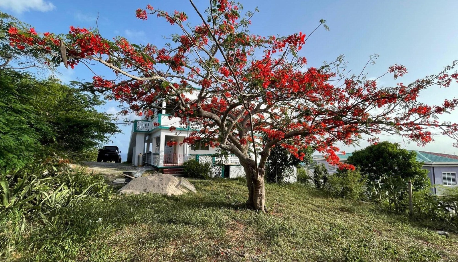 Image 10